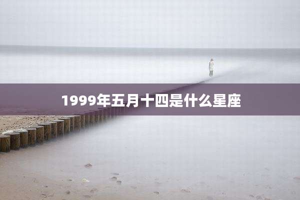 1999年五月十四是什么星座