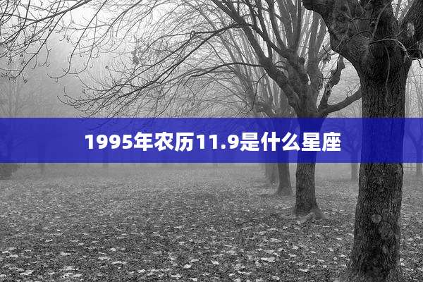 1995年农历11.9是什么星座