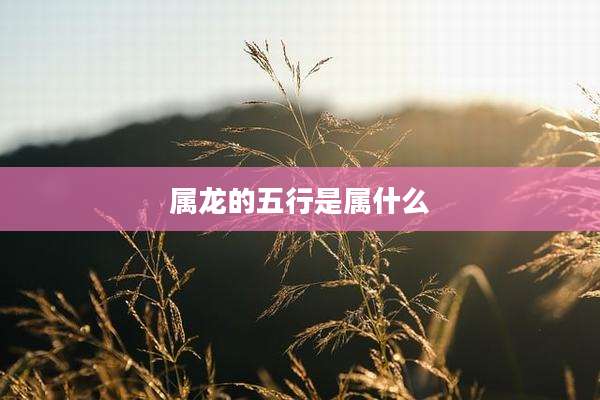 属龙的五行是属什么