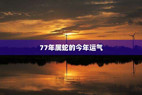 77年属蛇的今年运气