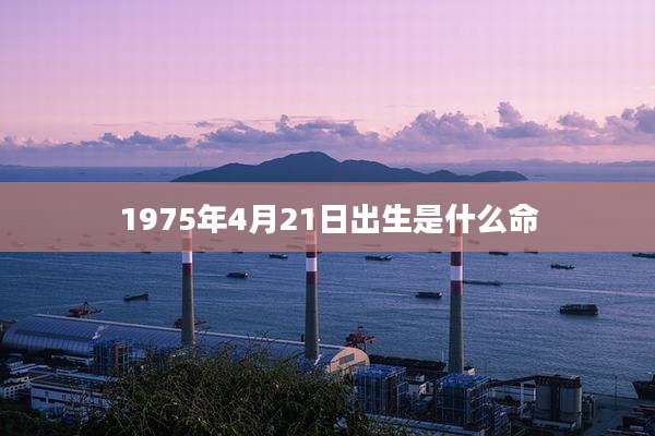 1975年4月21日出生是什么命