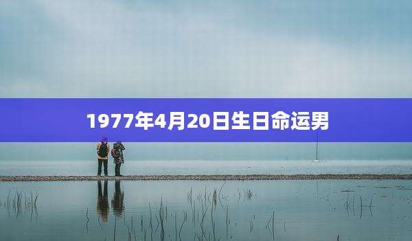 1977年4月20日生日命运男
