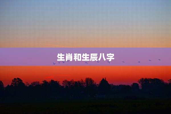 生肖和生辰八字