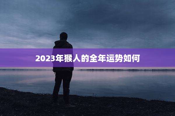 2023年猴人的全年运势如何