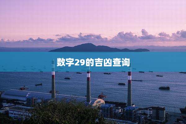 数字29的吉凶查询