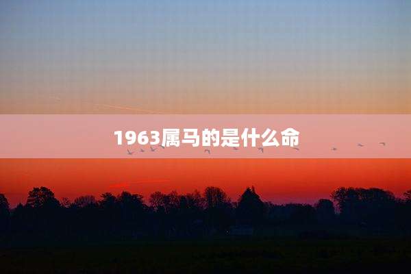 1963属马的是什么命