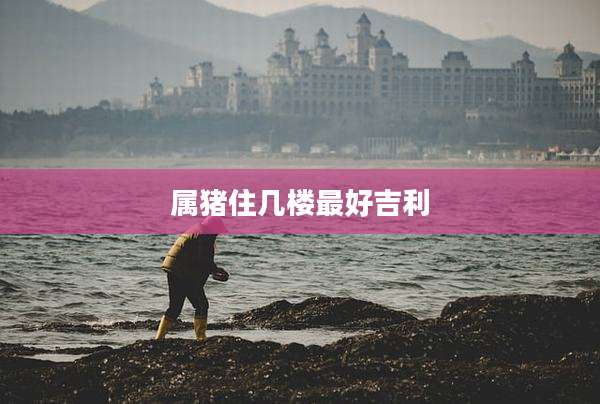 属猪住几楼最好吉利