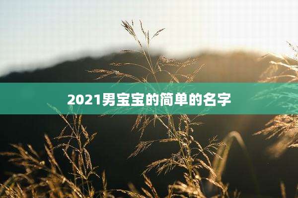 2021男宝宝的简单的名字
