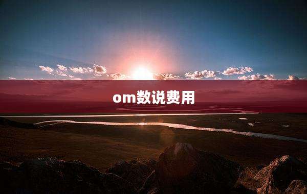 om数说费用