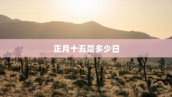 正月十五是多少日