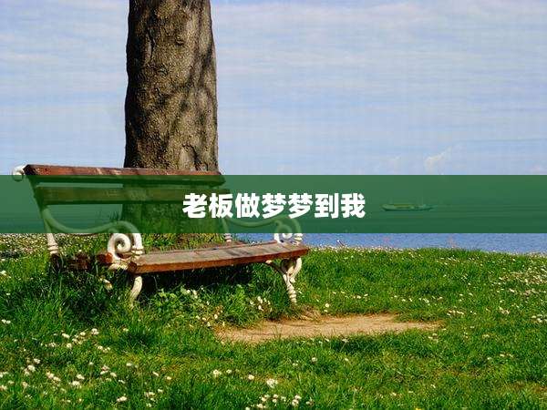 老板做梦梦到我