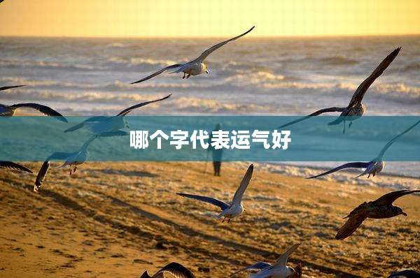 哪个字代表运气好