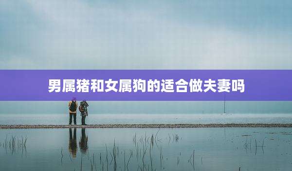 男属猪和女属狗的适合做夫妻吗