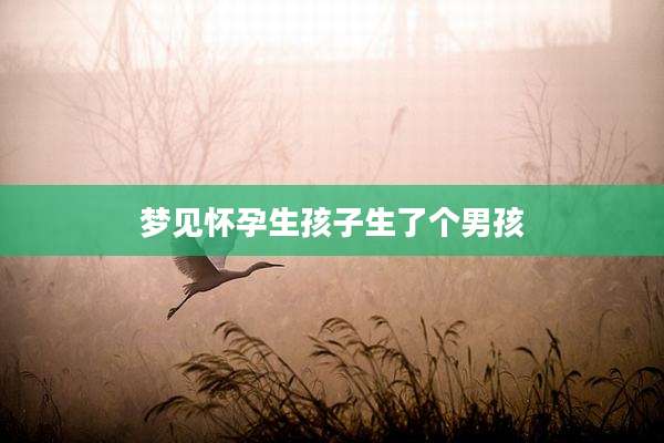 梦见怀孕生孩子生了个男孩