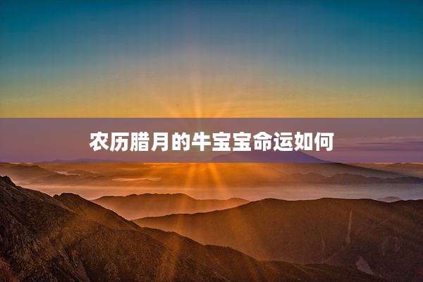 农历腊月的牛宝宝命运如何