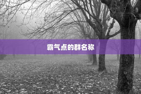 霸气点的群名称