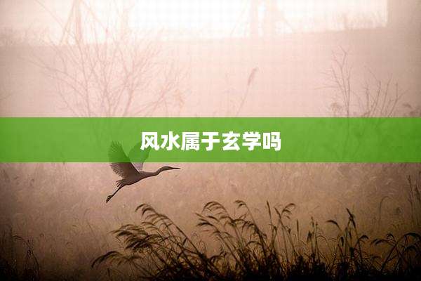 风水属于玄学吗