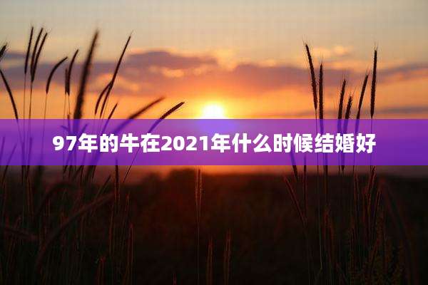 97年的牛在2021年什么时候结婚好