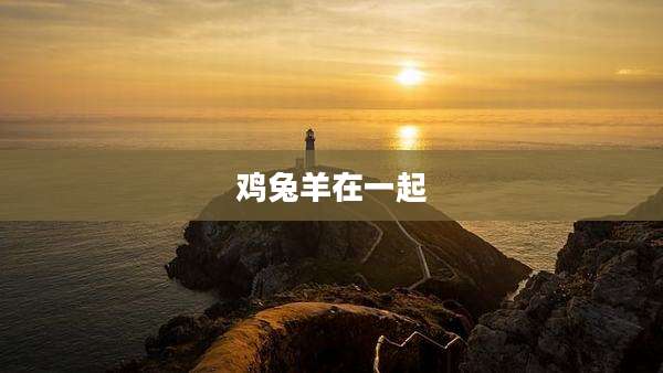 鸡兔羊在一起