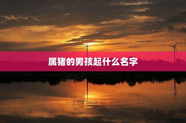 属猪的男孩起什么名字