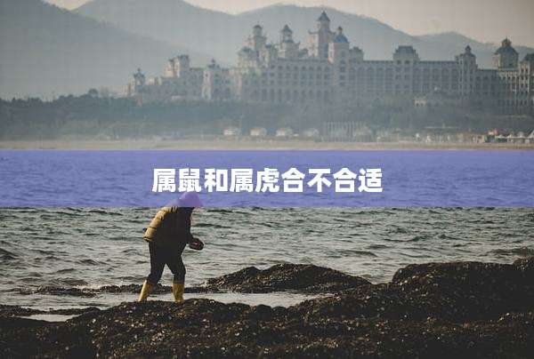 属鼠和属虎合不合适