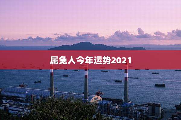 属兔人今年运势2021