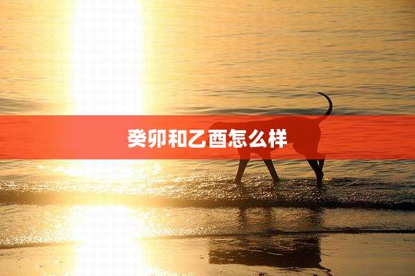癸卯和乙酉怎么样