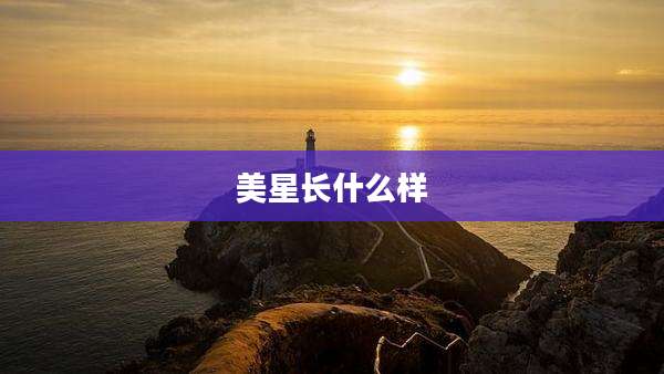 美星长什么样