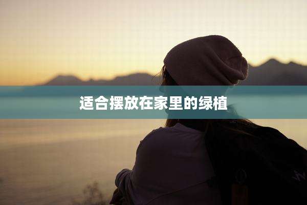 适合摆放在家里的绿植