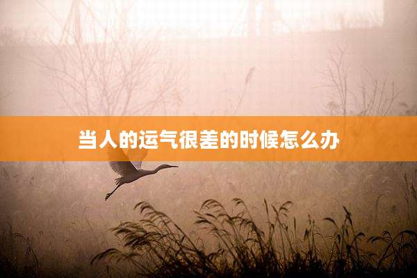 当人的运气很差的时候怎么办