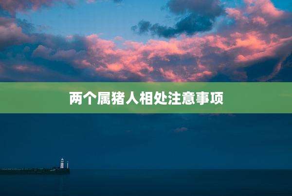 两个属猪人相处注意事项