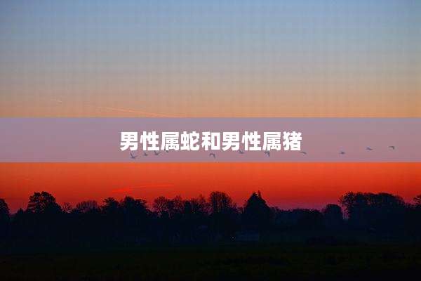 男性属蛇和男性属猪