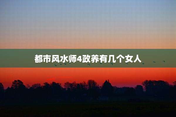 都市风水师4政养有几个女人