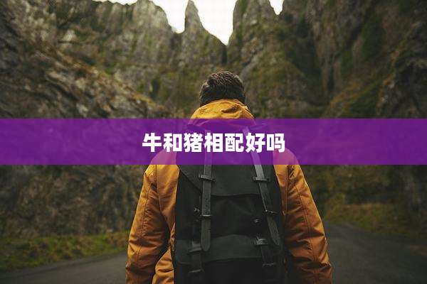 牛和猪相配好吗
