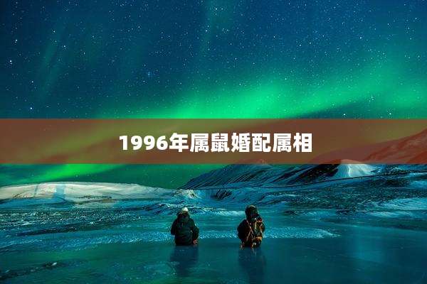 1996年属鼠婚配属相