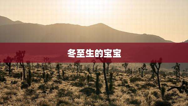 冬至生的宝宝