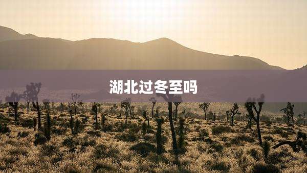 湖北过冬至吗