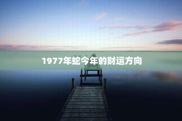 1977年蛇今年的财运方向