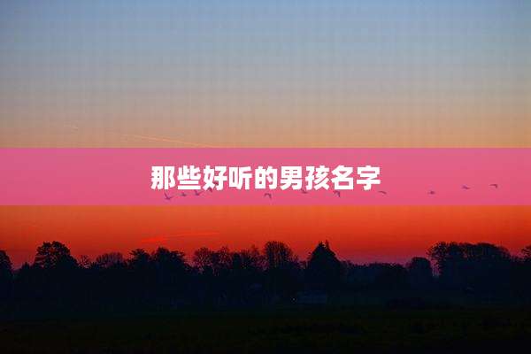 那些好听的男孩名字