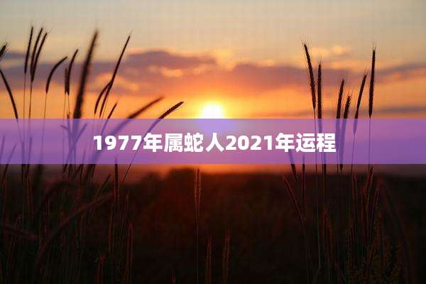 1977年属蛇人2021年运程