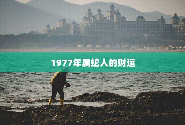 1977年属蛇人的财运