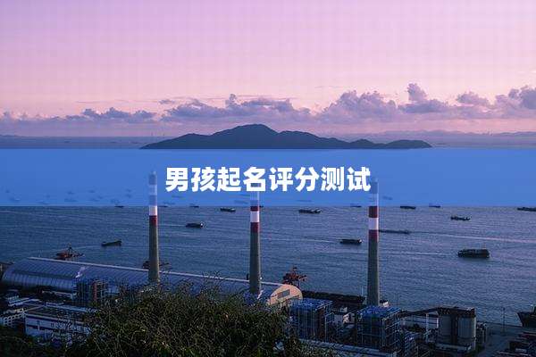 男孩起名评分测试