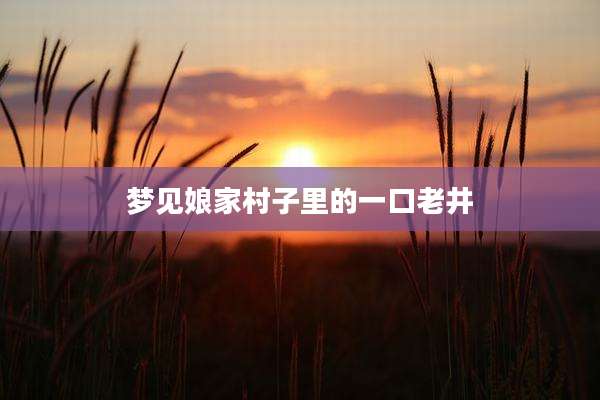 梦见娘家村子里的一口老井
