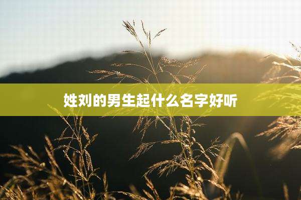 姓刘的男生起什么名字好听