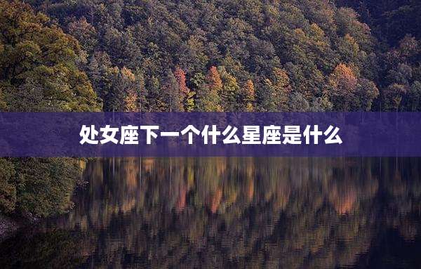 处女座下一个什么星座是什么