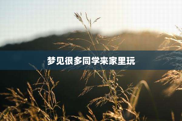 梦见很多同学来家里玩