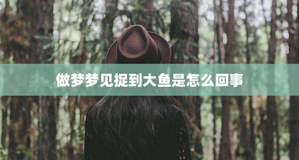 做梦梦见捉到大鱼是怎么回事