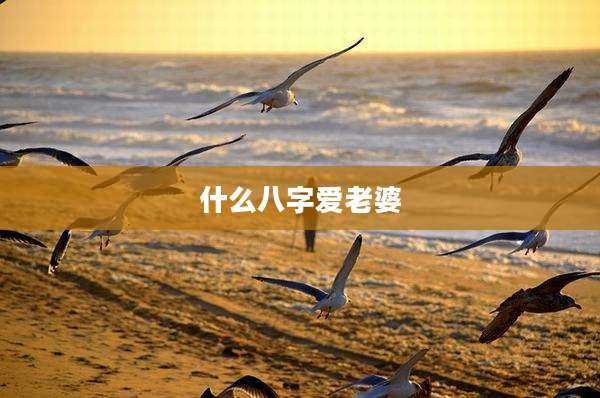 什么八字爱老婆