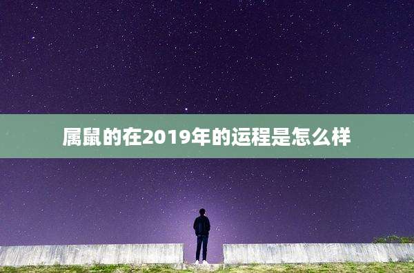 属鼠的在2019年的运程是怎么样
