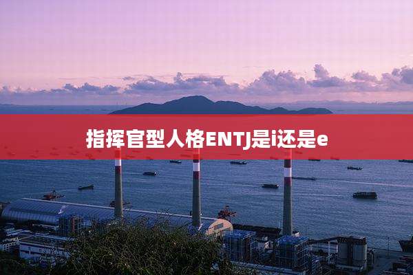 指挥官型人格ENTJ是i还是e